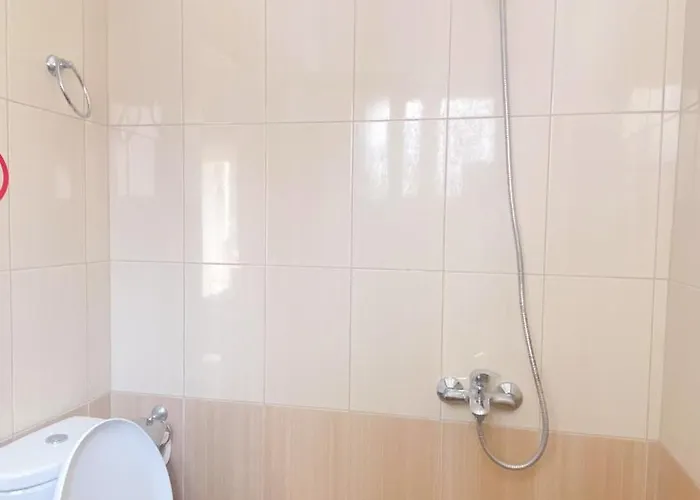 Daire Mikel's House *