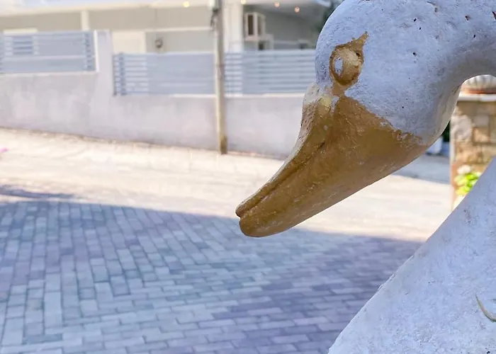 Daire Mikel's House Saranda